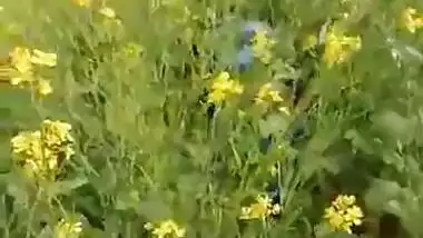 Village Indian Bhabhi Caught While Having Sex In Farm